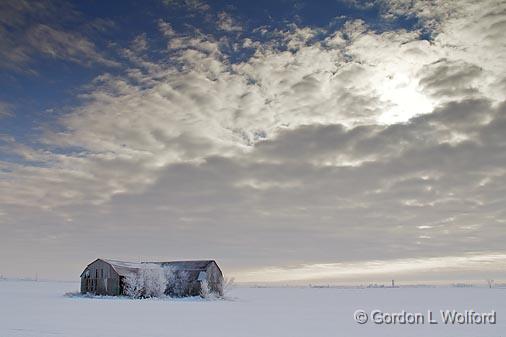 Out Standing In Its Field_52613.jpg - Photographed east of Ottawa, Ontario - the capital of Canada.